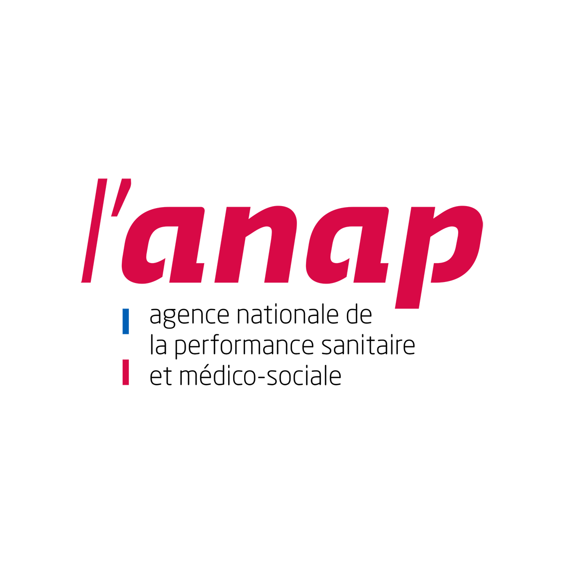 logo Anap manquant